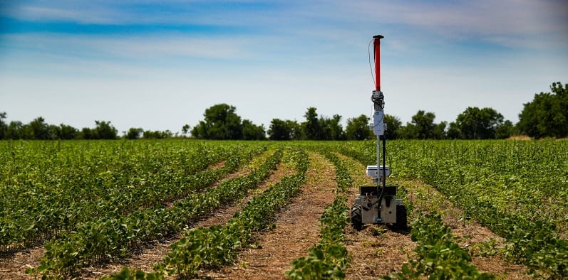 Robotii smart care distrug buruienile evitand pesticidele