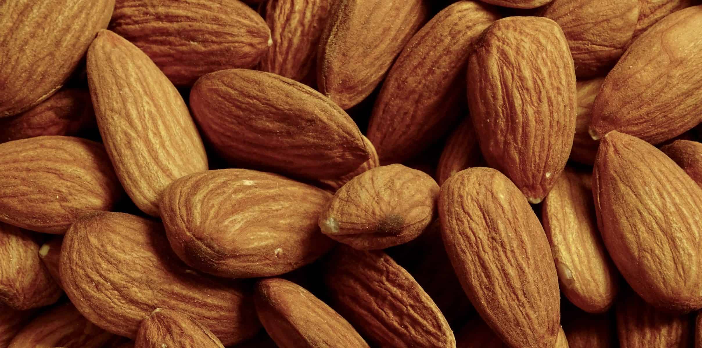 Alimentele cele mai bogate in minerale esentiale