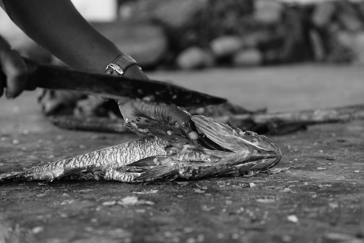 Cum sa intelegeti daca pestele este proaspat: ghidul de cumparare