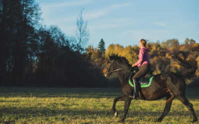 Ghid de călărie pentru începători