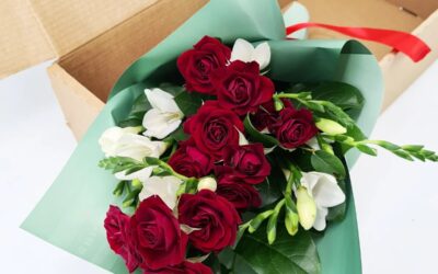 Frezii si minirosa – de ce sa le oferi?