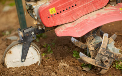 Te intrebi de ce sa cumperi o motosapa pe benzina? Iata raspunsul!