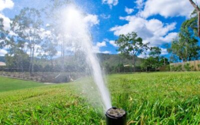 Care este avantajul sistemelor de irigare?