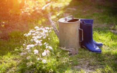 Ce sunt pesticidele? Elementele de baza