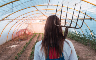 Cum se cultiva corect plantele utilizand solutii moderne?